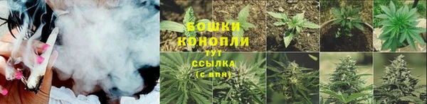 PSILOCYBIN Баксан