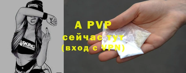 PSILOCYBIN Баксан